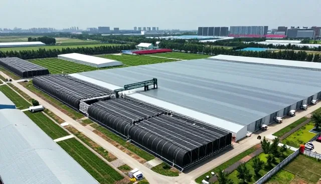 构建高并发系统：网络架构选型的关键考量